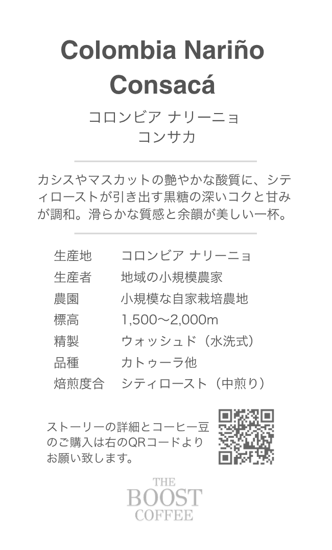 コロンビア ナリーニョ コンサカ ウォッシュド シティ スペシャルティコーヒー豆 100g