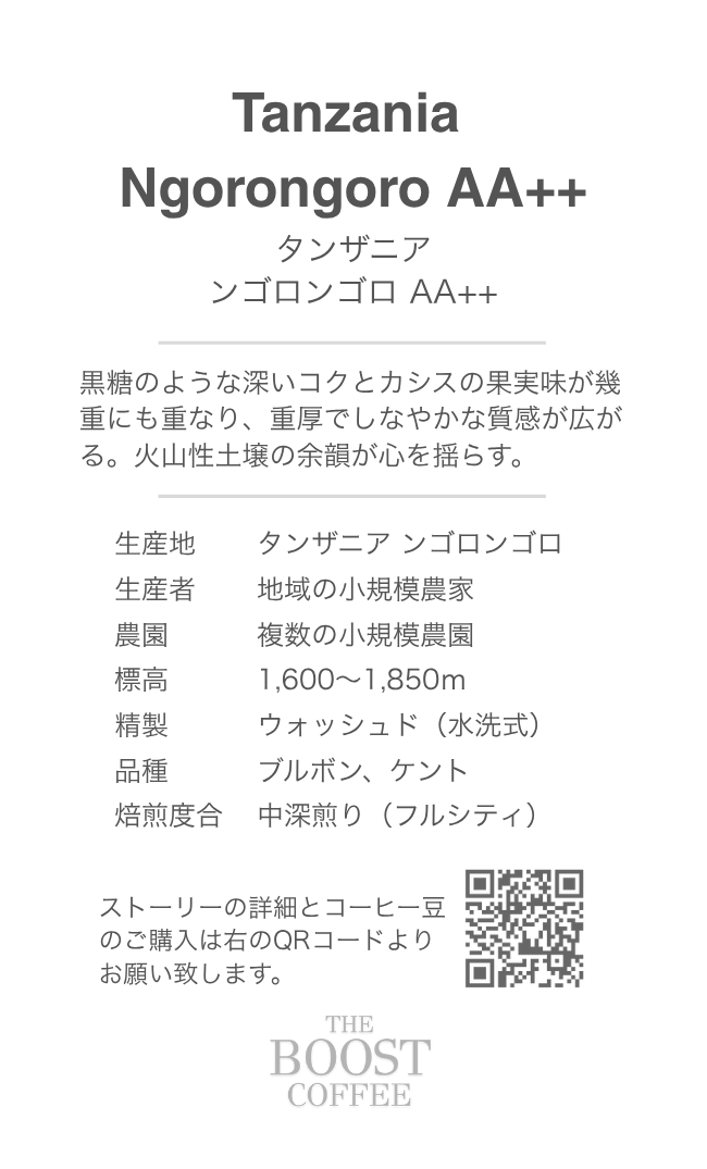 タンザニア ンゴロンゴロAA++(100g)