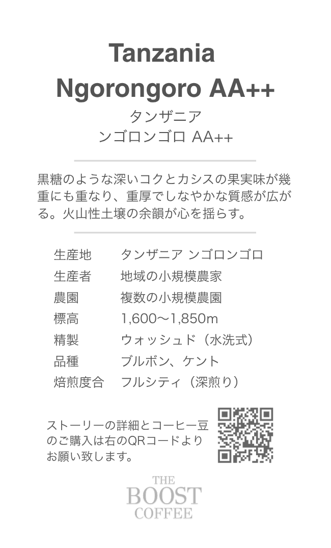 タンザニア ンゴロンゴロAA++ ウォッシュド フルシティ スペシャルティコーヒー豆 100g