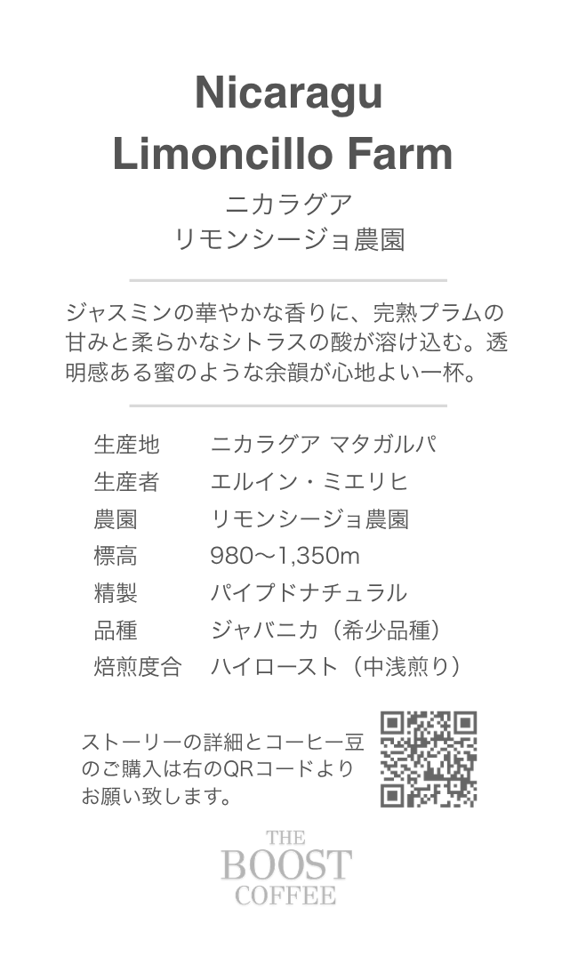 ニカラグア リモンシージョ農園 パルプドナチュラル ハイ スペシャルティコーヒー豆 100g
