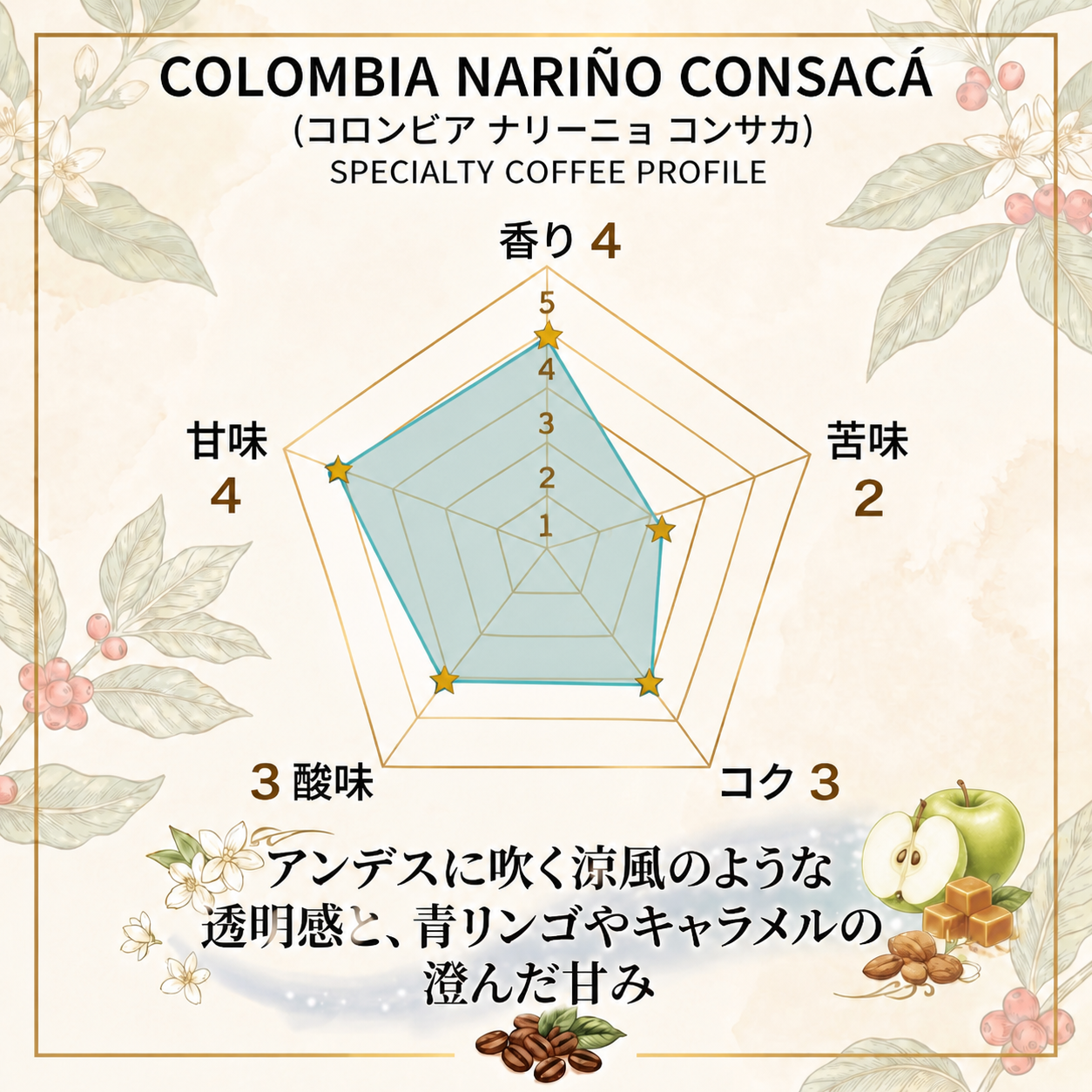 コロンビア ナリーニョ コンサカ ウォッシュド シティ スペシャルティコーヒー豆 100g