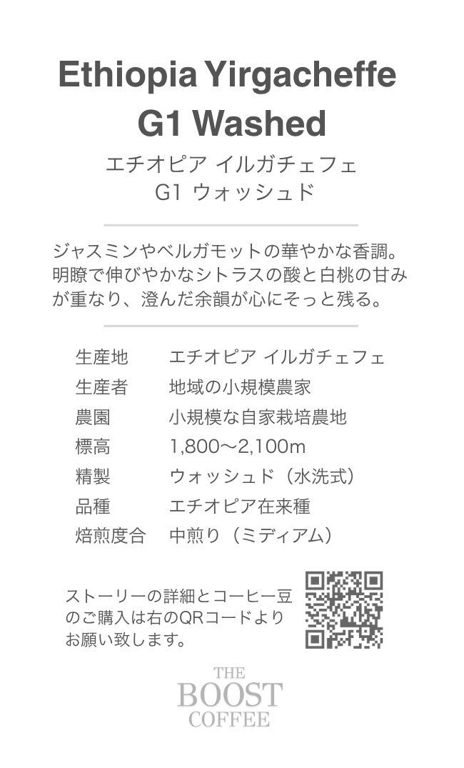 エチオピア イルガチェフェ G-1 ウォッシュド（100g）
