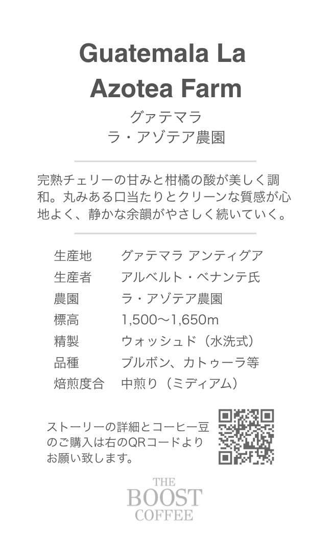 グアテマラ アゾテア農園（100g）