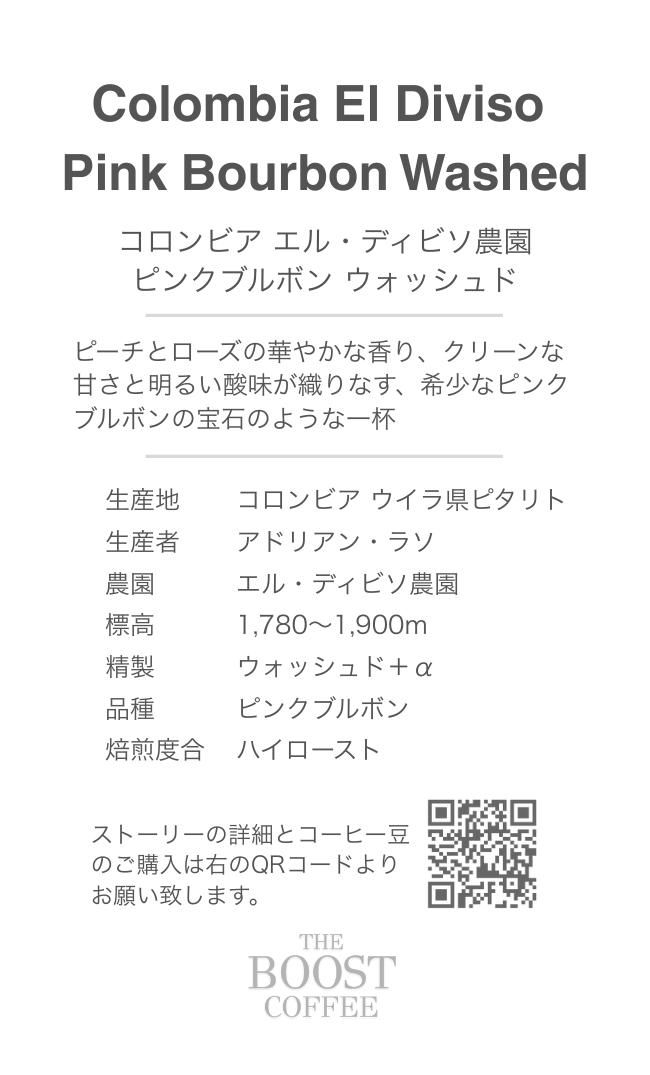 コロンビア エル・ディビソ農園 ピンクブルボン ハイ スペシャルティコーヒー豆 100g