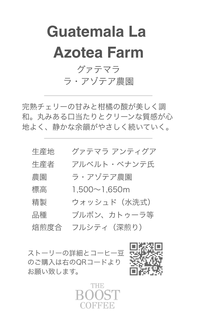 グアテマラ アゾテア農園 ウォッシュド フルシティ スペシャルティコーヒー豆 100g