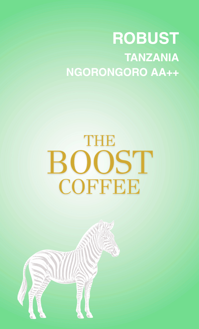 タンザニア ンゴロンゴロAA++ ウォッシュド フルシティ スペシャルティコーヒー豆 100g