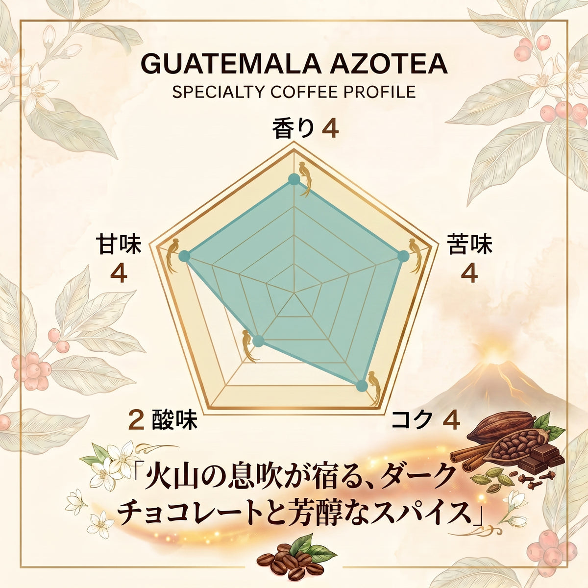 グアテマラ アゾテア農園 ウォッシュド フルシティ スペシャルティコーヒー豆 100g