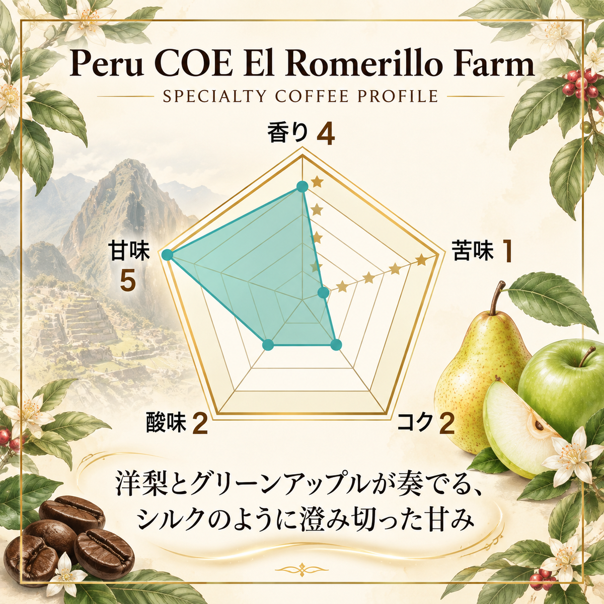 ペルー COE エル・ロメリージョ農園 ウォッシュド ハイ スペシャルティコーヒー豆 50g