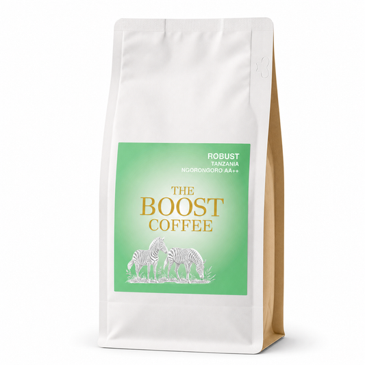 タンザニア ンゴロンゴロAA++ ウォッシュド フルシティ スペシャルティコーヒー豆 100g