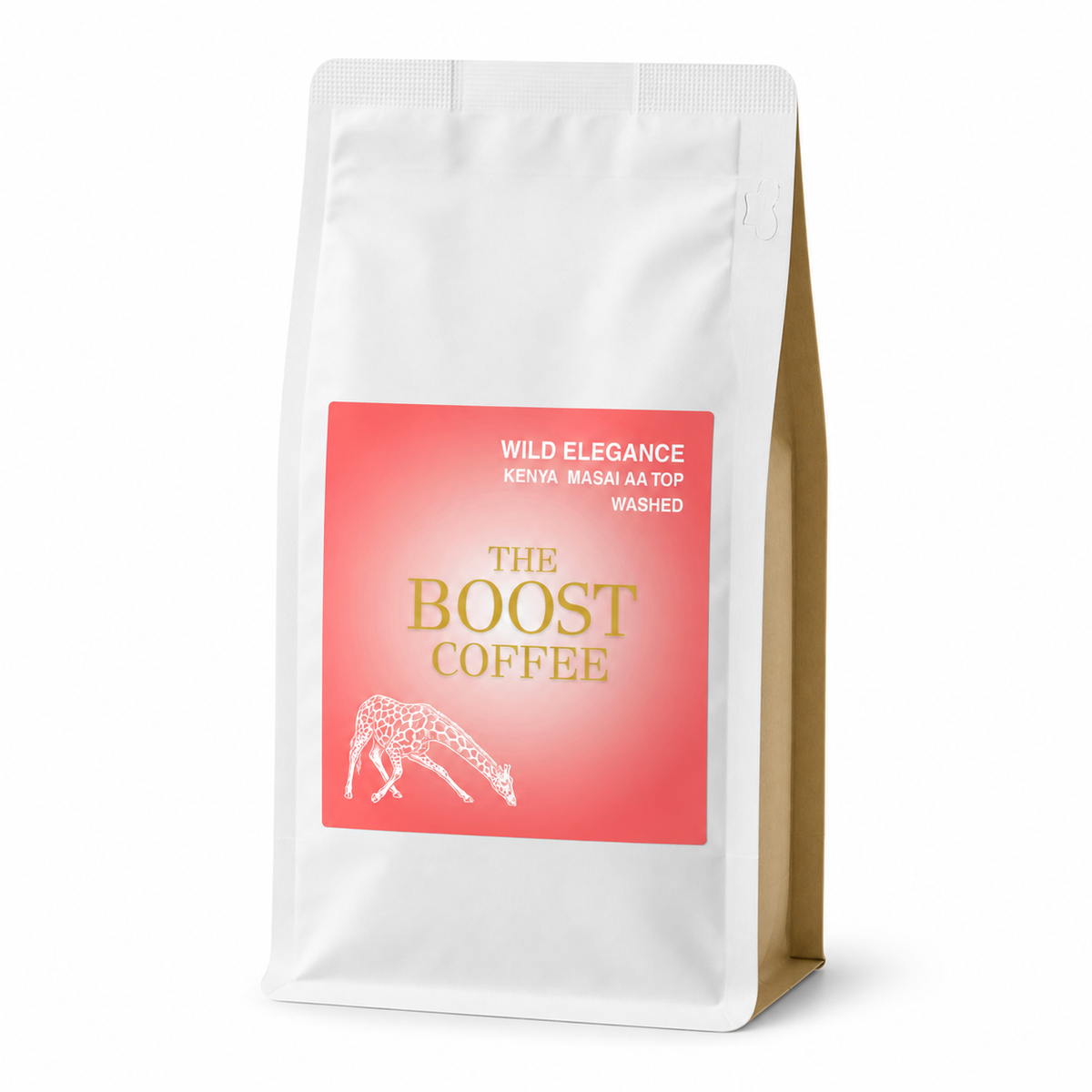 ケニア マサイ AA TOP ウォッシュド フルシティ スペシャルティコーヒー豆 100g