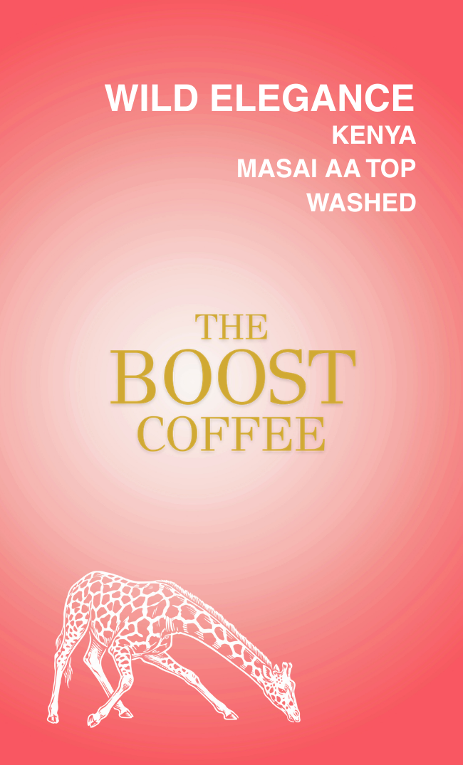 ケニア マサイ AA TOP ウォッシュド フルシティ スペシャルティコーヒー豆 100g