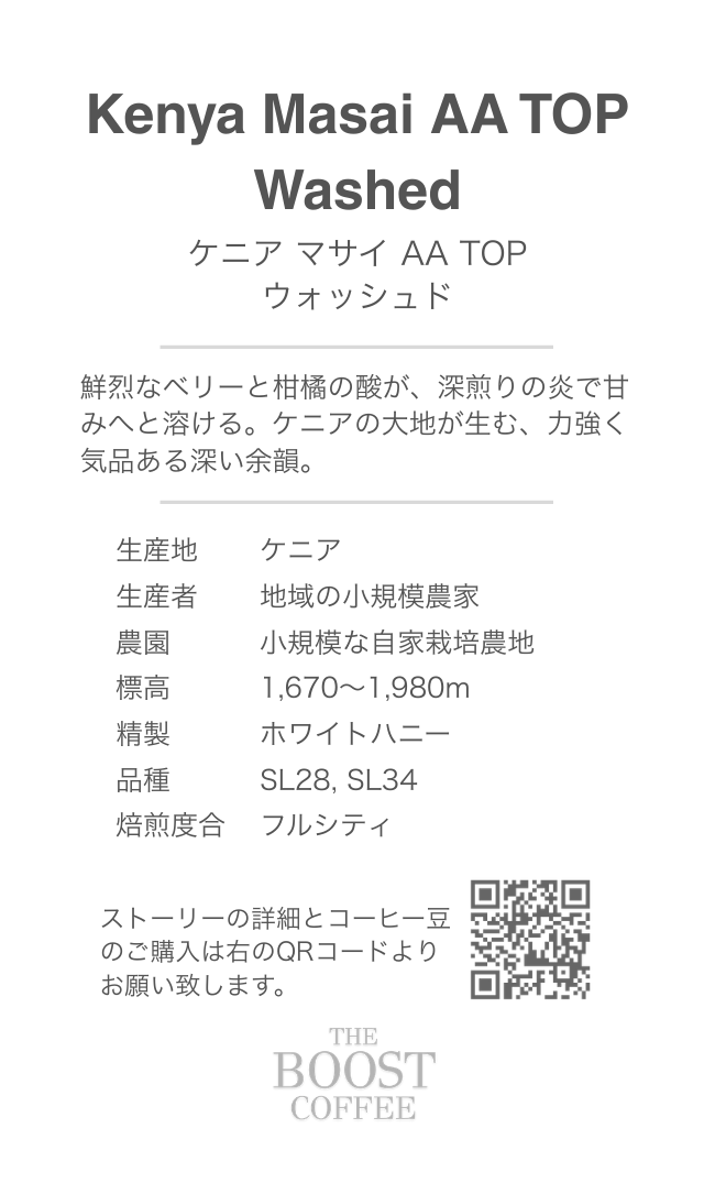 ケニア マサイ AA TOP ウォッシュド フルシティ スペシャルティコーヒー豆 100g