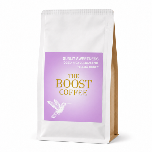 コスタリカ ボルカン アスール イエローハニー シティ スペシャルティコーヒー豆 100g