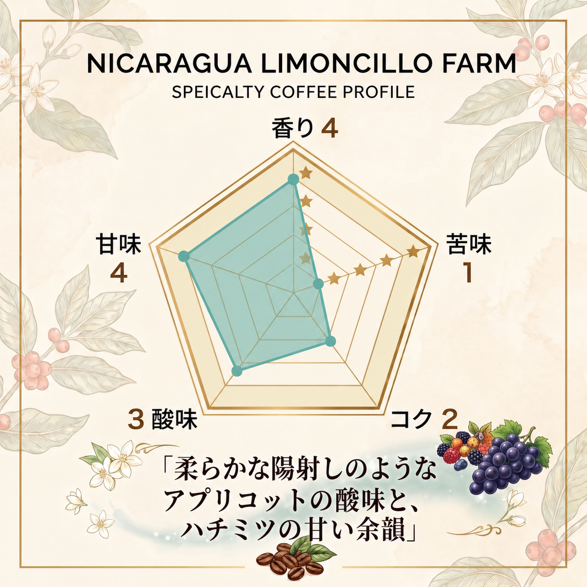 ニカラグア リモンシージョ農園 パルプドナチュラル ハイ スペシャルティコーヒー豆 100g