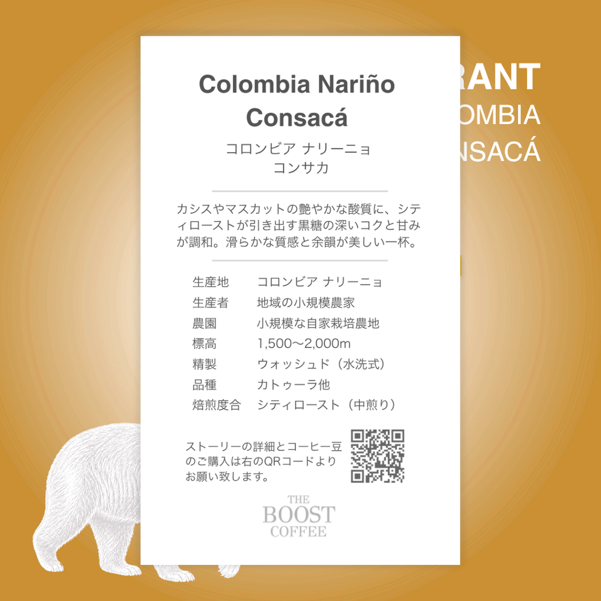 コロンビア ナリーニョ コンサカ ウォッシュド シティ スペシャルティコーヒー豆 100g